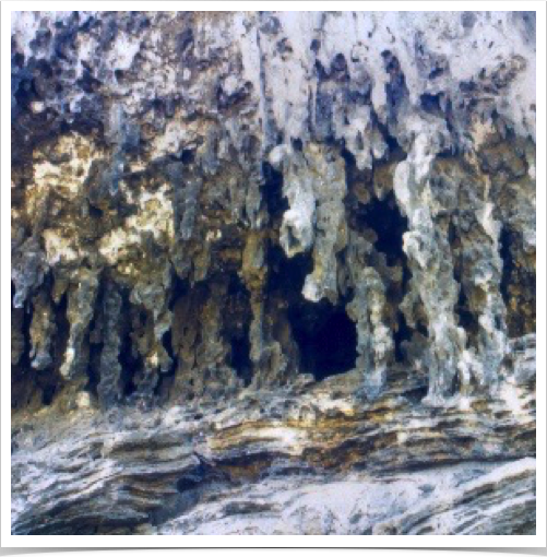 Aruba's Quadiriki Caves - located at the base of a limestone cliff. They contain Amerindian petroglyphs. Aruba's Quadiriki Caves - located at the base of a limestone cliff. They contain Amerindian petroglyphs.